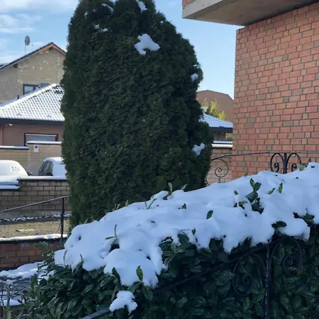 Guest house Garni Schafer 3*